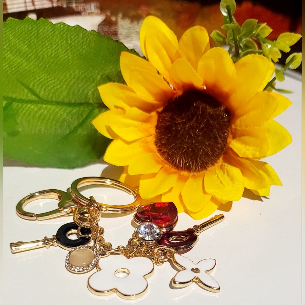 ποΈπFASHIONπ BAGchain/KEYchain Charm - Picture 12 of 14